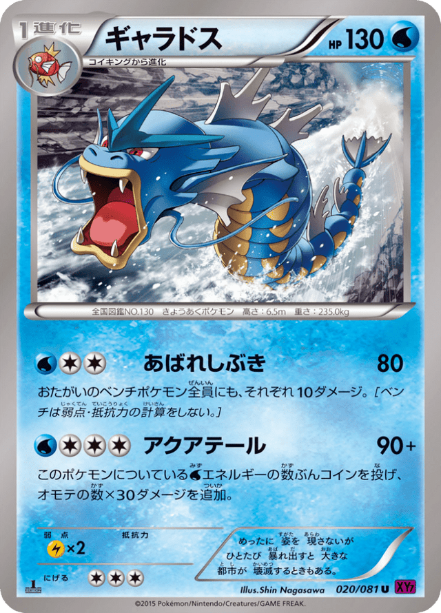 Gyarados 020/81