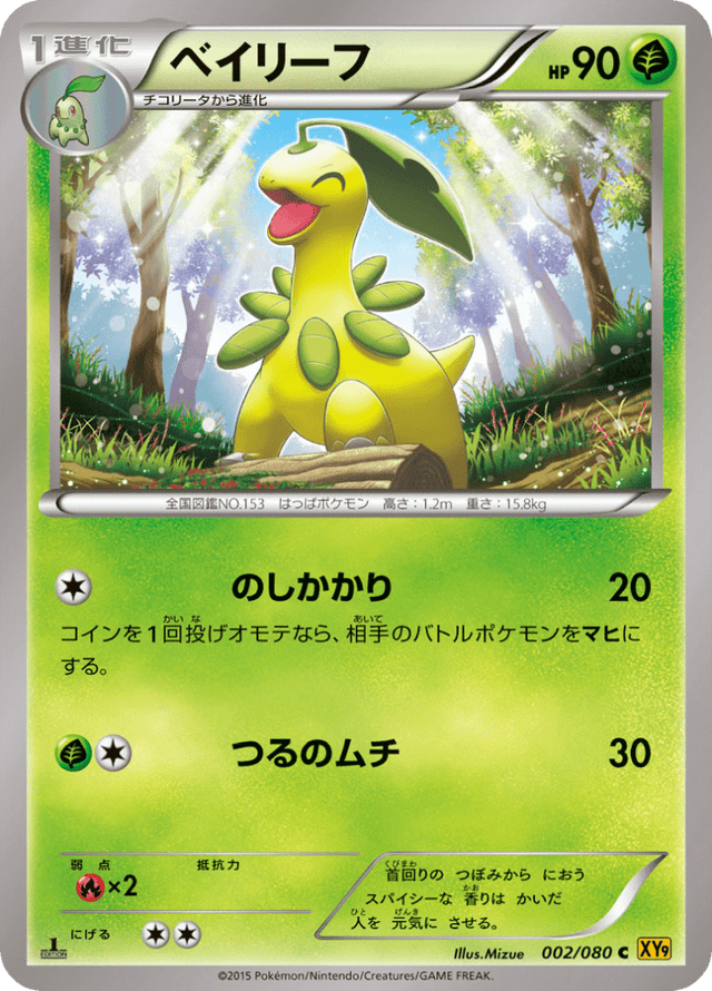 Bayleef 002/80
