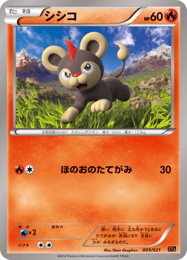 Litleo 005/23