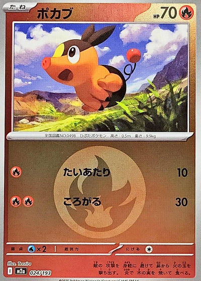 {024/193}Tepig (Gruikui) (Energy Mirror) | Carte Pokémon japonaise à l'unité