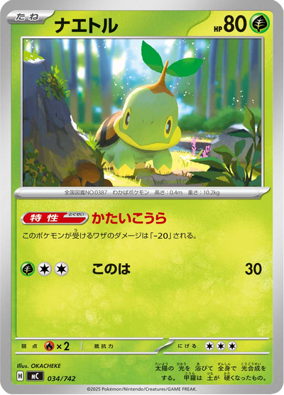 {034/742}Turtwig (Tortipouss) | Carte Pokémon japonaise à l'unité