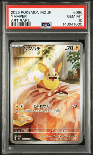 [PSA 10]{086/080} YAMPER | Japanese Pokemon Card PSA Grading