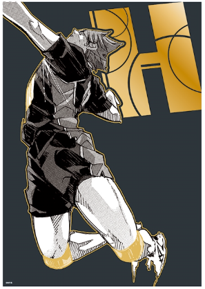 Pre-order Haikyu!! Foil-Stamped Art Card – Jump Shop Japan Limited