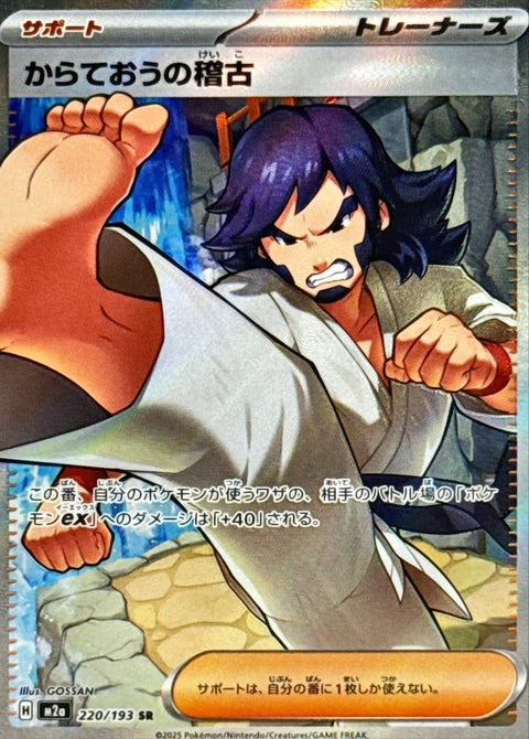 black belts training pokemon card 220/193}Black Belt's Training