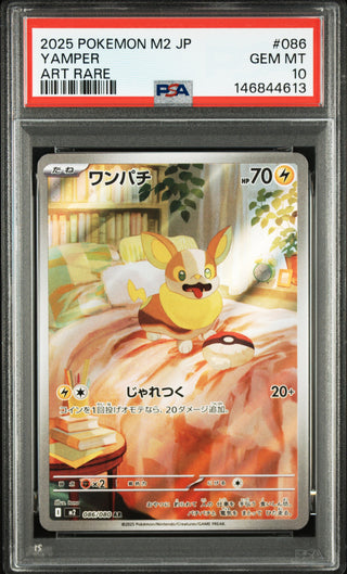 [PSA 10]{086/080} YAMPER | Japanese Pokemon Card PSA Grading