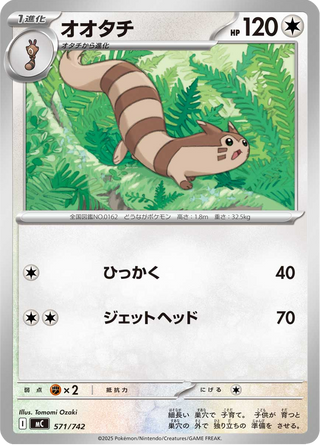 {571/742}Furret | Japanese Pokemon Single Card - PokeNinJapan