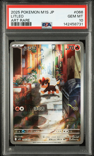 [PSA 10]{066/063} LITLEO | Japanese Pokemon Card PSA Grading
