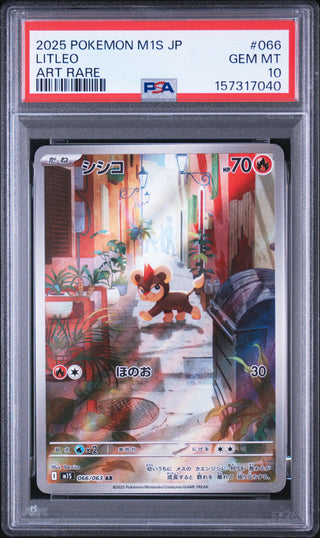 [PSA 10]{066/063} LITLEO | Japanese Pokemon Card PSA Grading
