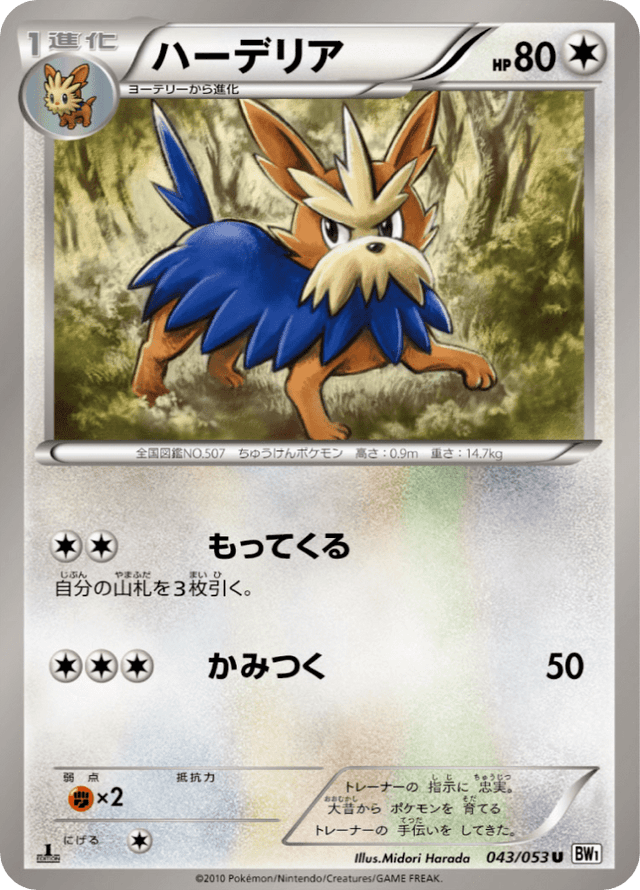 Herdier 043/54