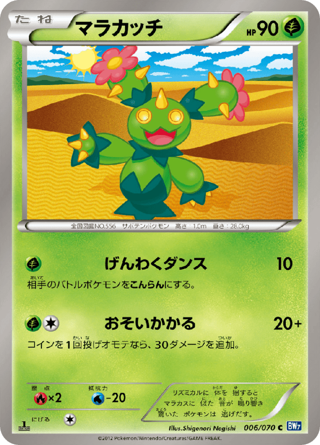 Maractus 006/70