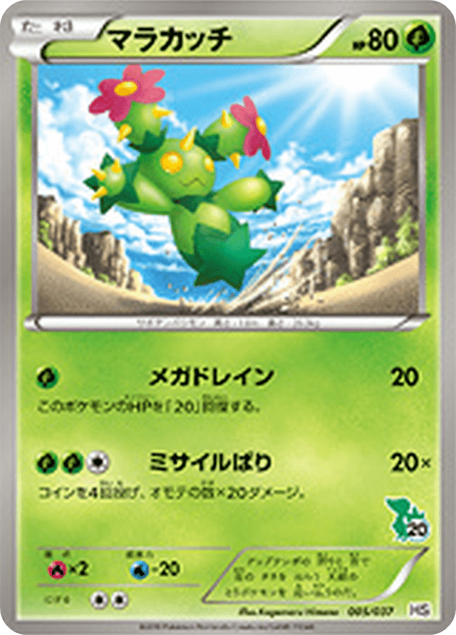 Maractus 005/43