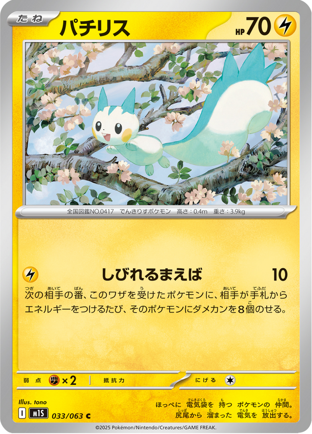 Pachirisu 033/63