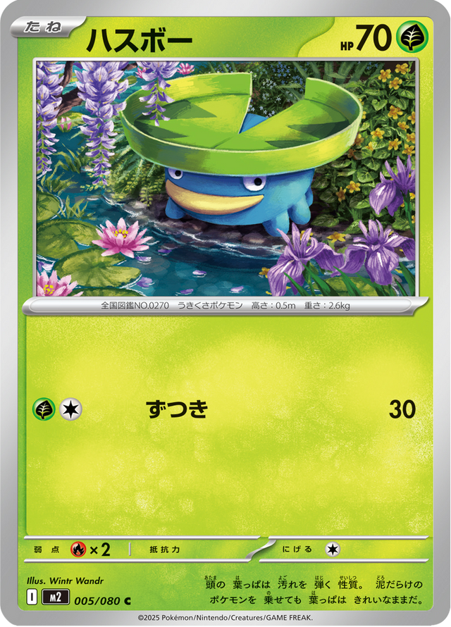 Lotad 005/80