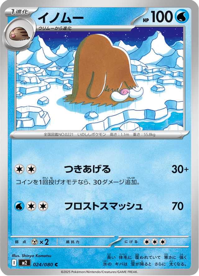 Piloswine 024/80
