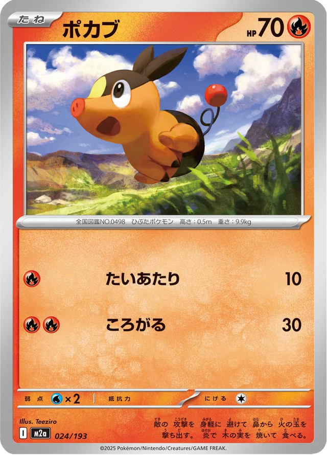 Tepig 024/193