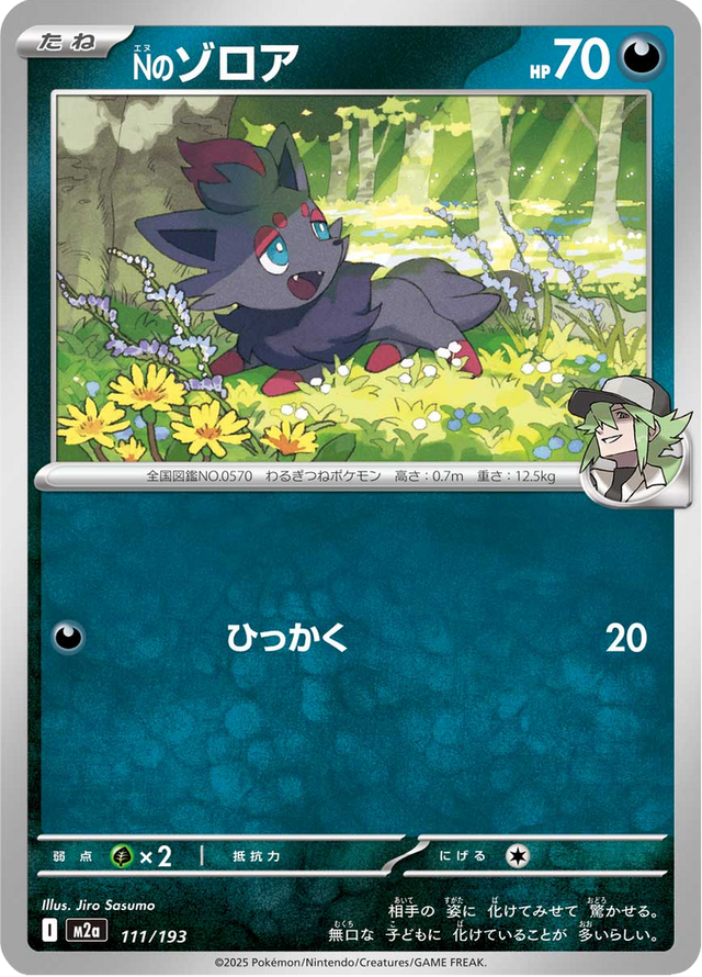 N's Zorua 111/193