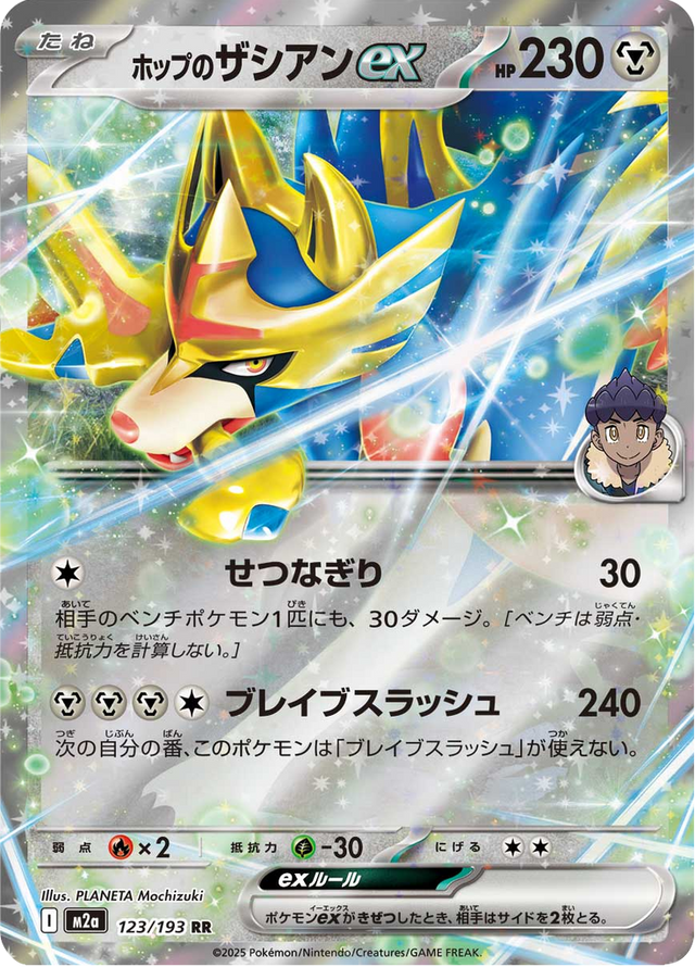 Hop's Zacian ex 123/193