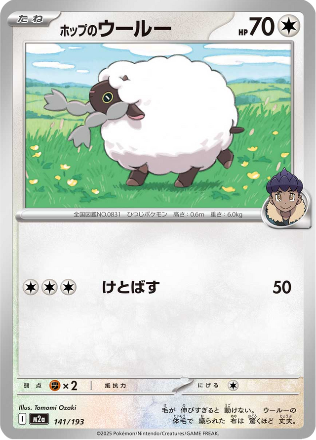 Hop's Wooloo 141/193