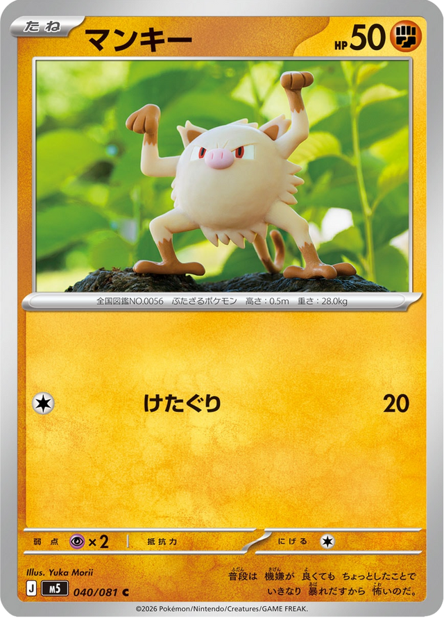 Mankey 040/81