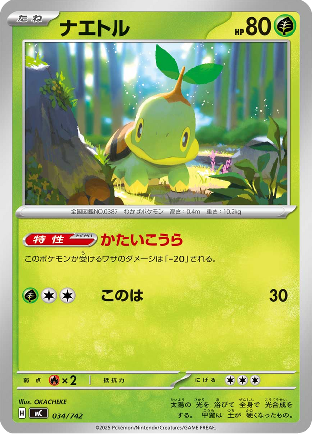 Turtwig 034/742