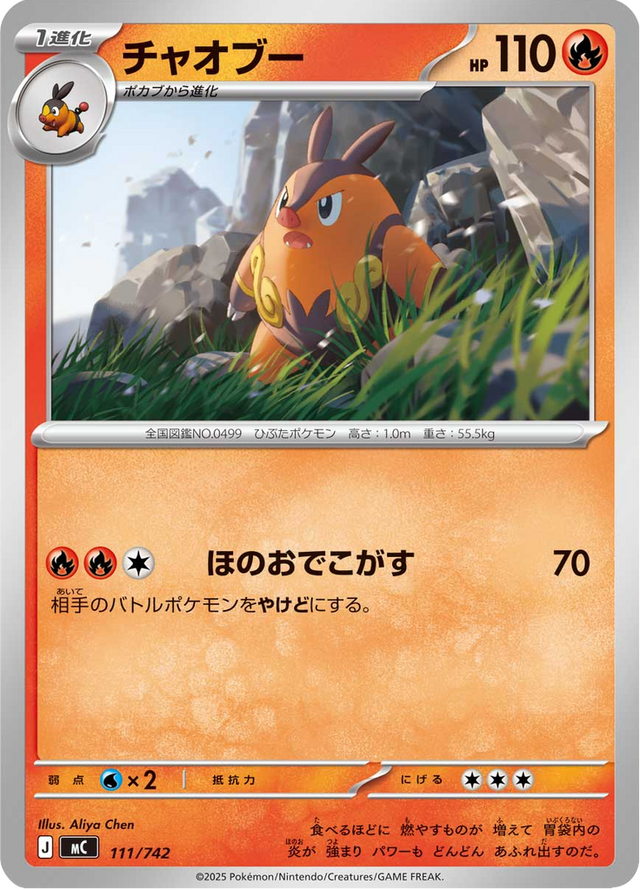 Pignite 111/742