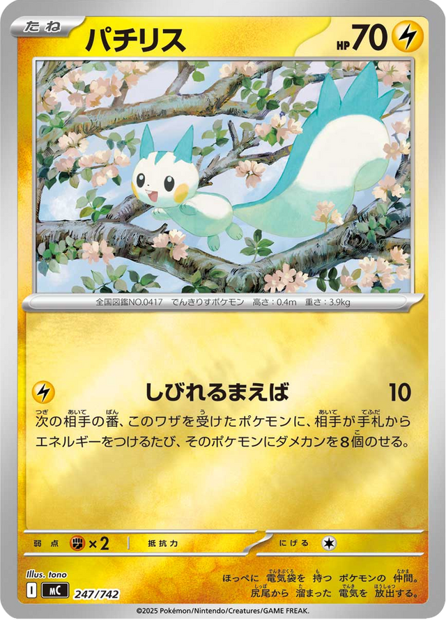Pachirisu 247/742
