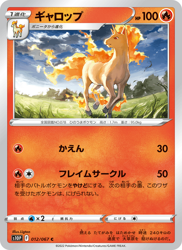 Rapidash 012/67
