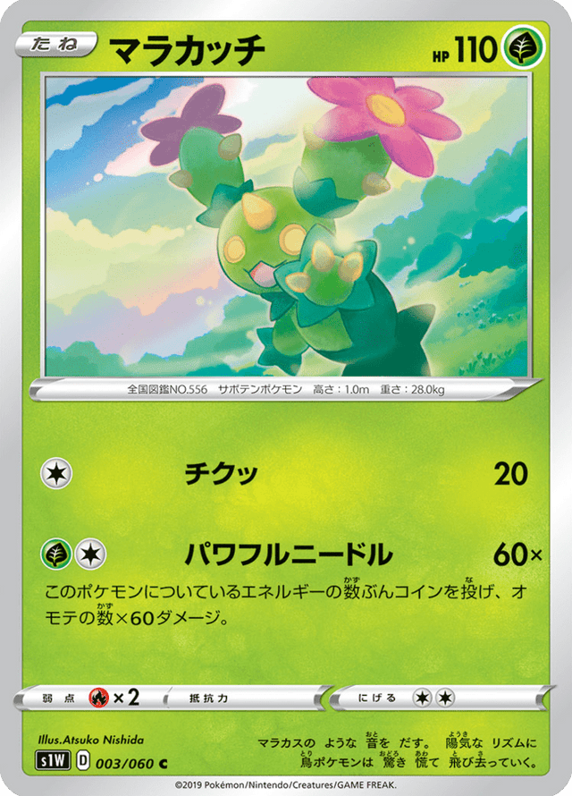 Maractus 003/60