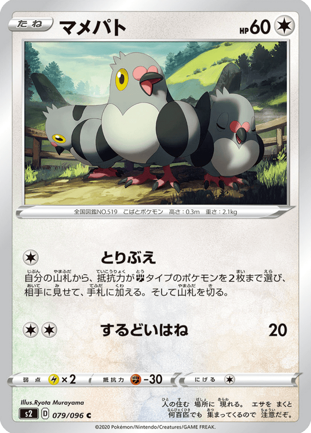 Pidove 079/96
