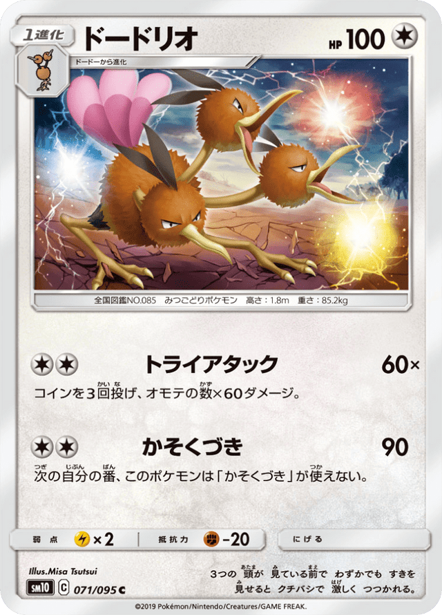 Dodrio 071/95