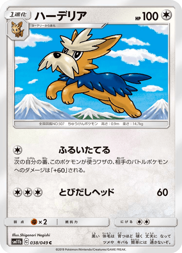 Herdier 038/49