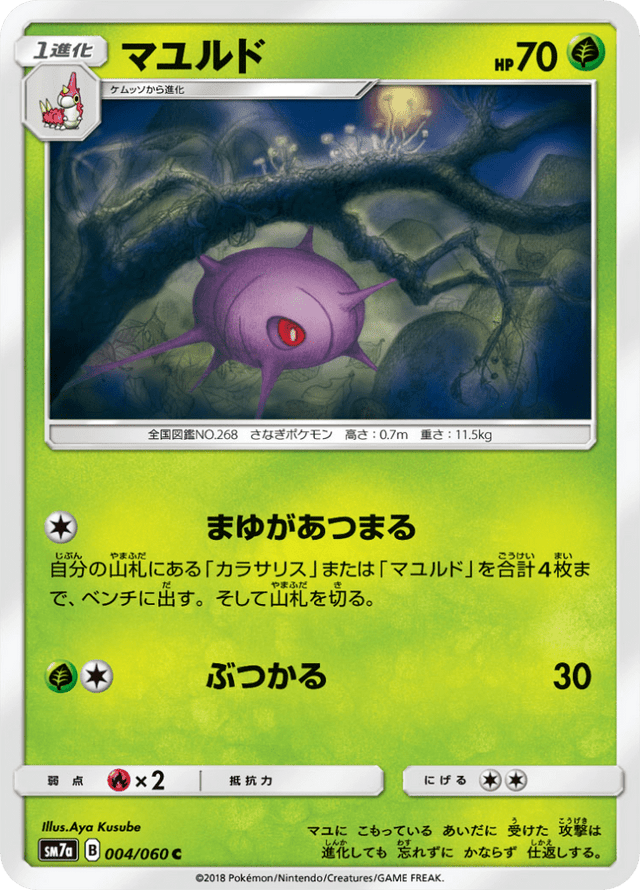 Cascoon 004/50