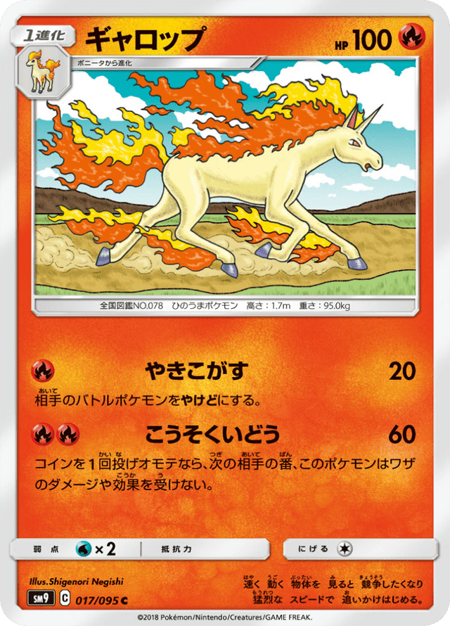 Rapidash 017/95