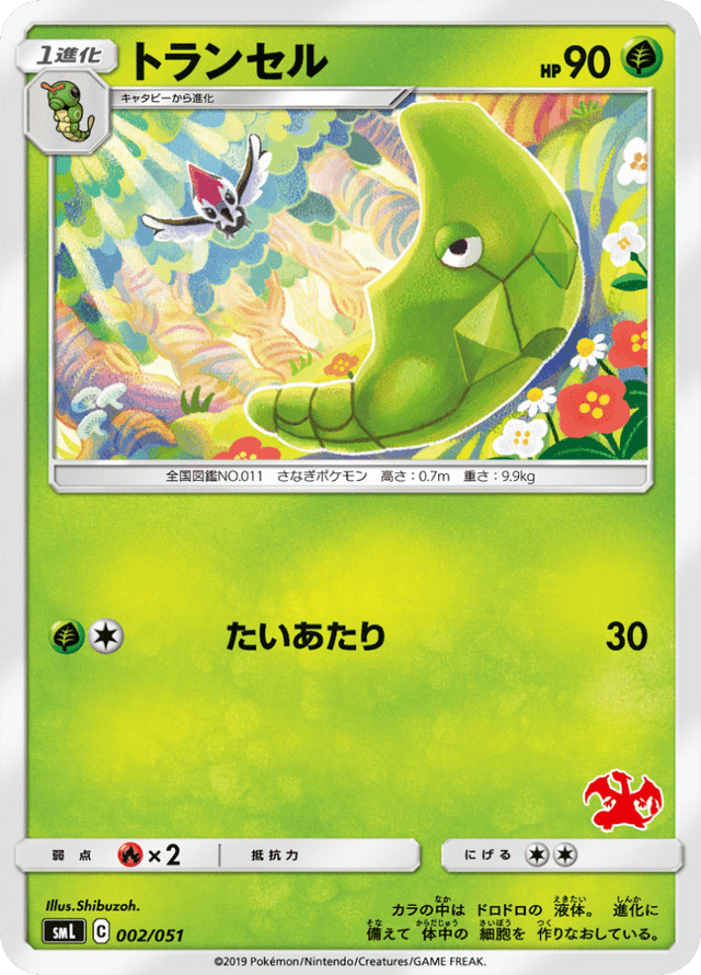 Metapod 002/51