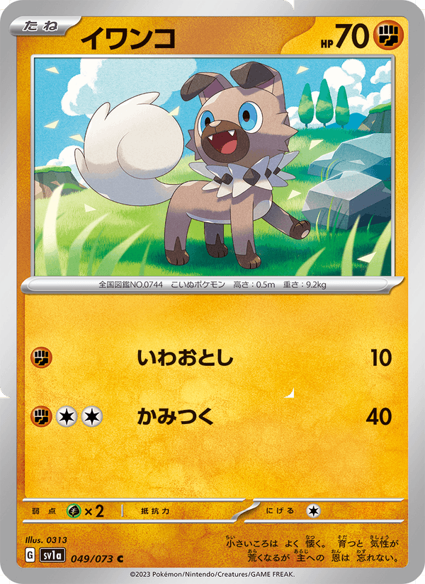 Rockruff 049/73