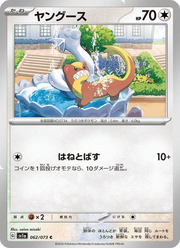 Yungoos 062/73