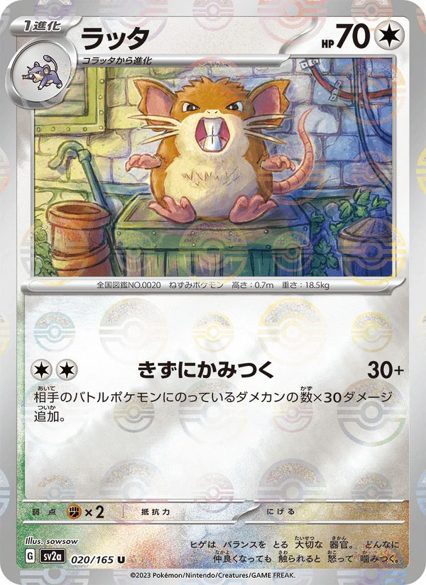 Raticate 020/165