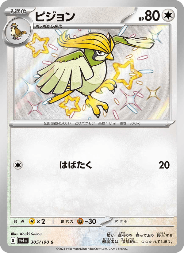 Pidgeotto 305/190