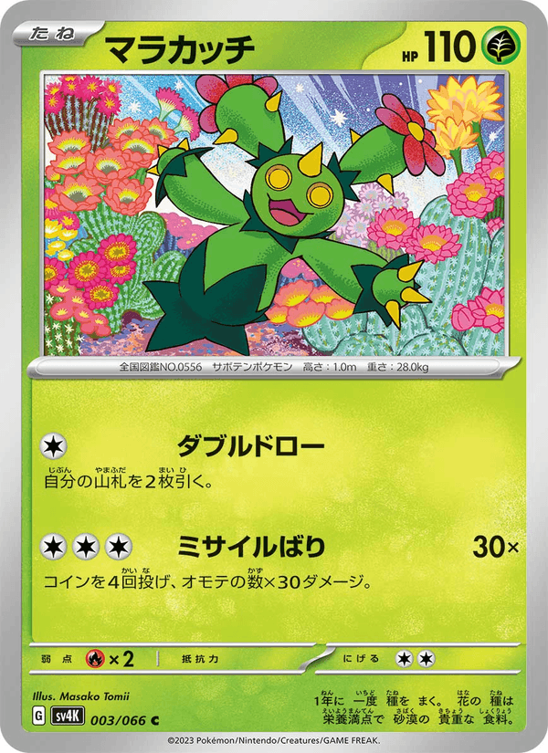 Maractus 003/66