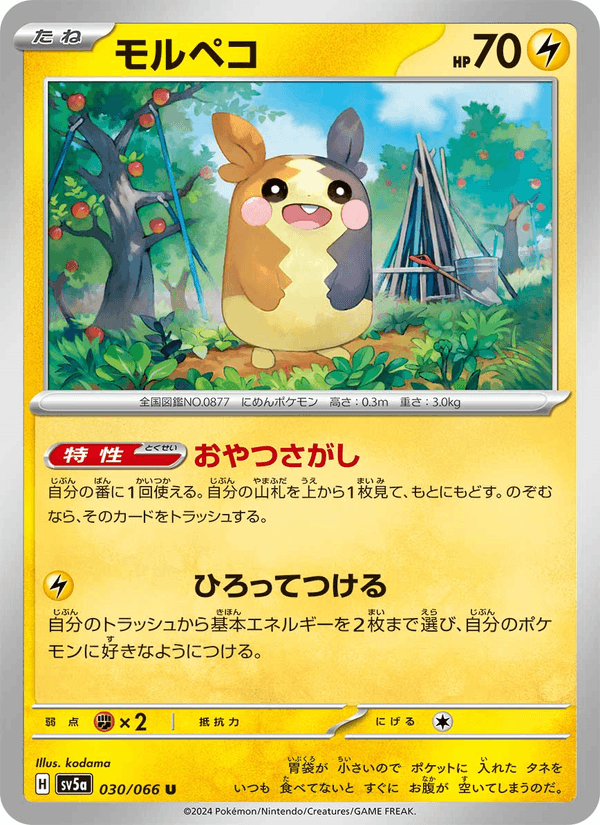 Morpeko 030/66