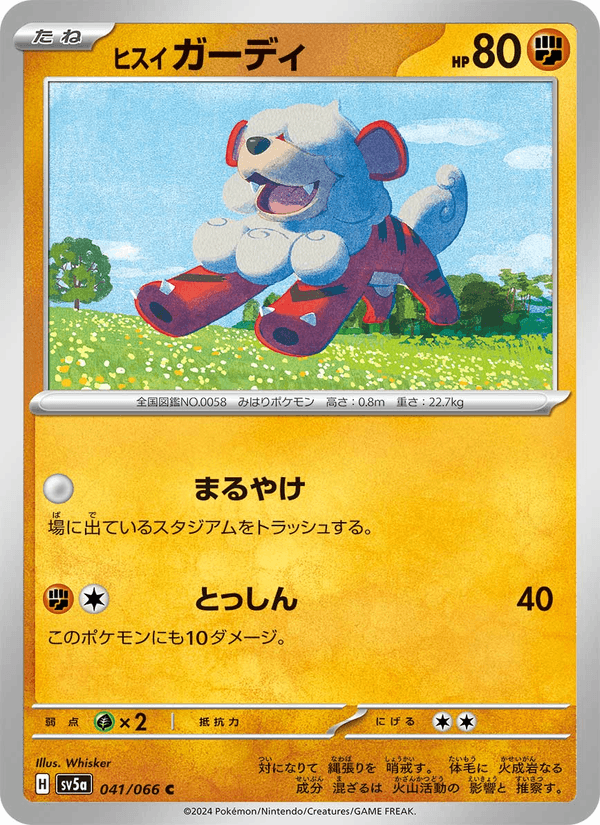 Hisuian Growlithe 041/66