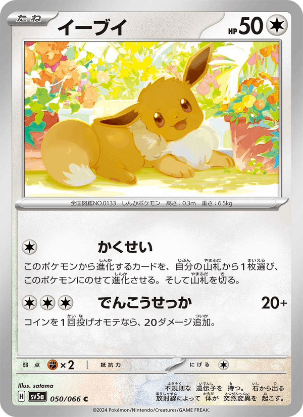 Eevee 050/66