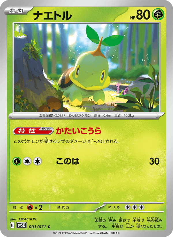 Turtwig 003/71