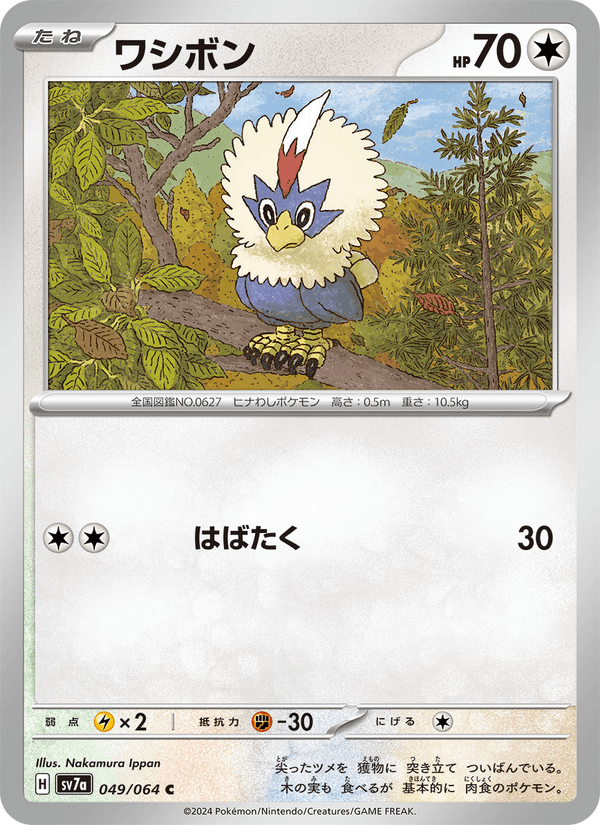 Rufflet 049/64
