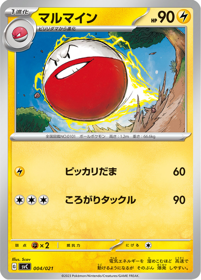 Electrode 004/21