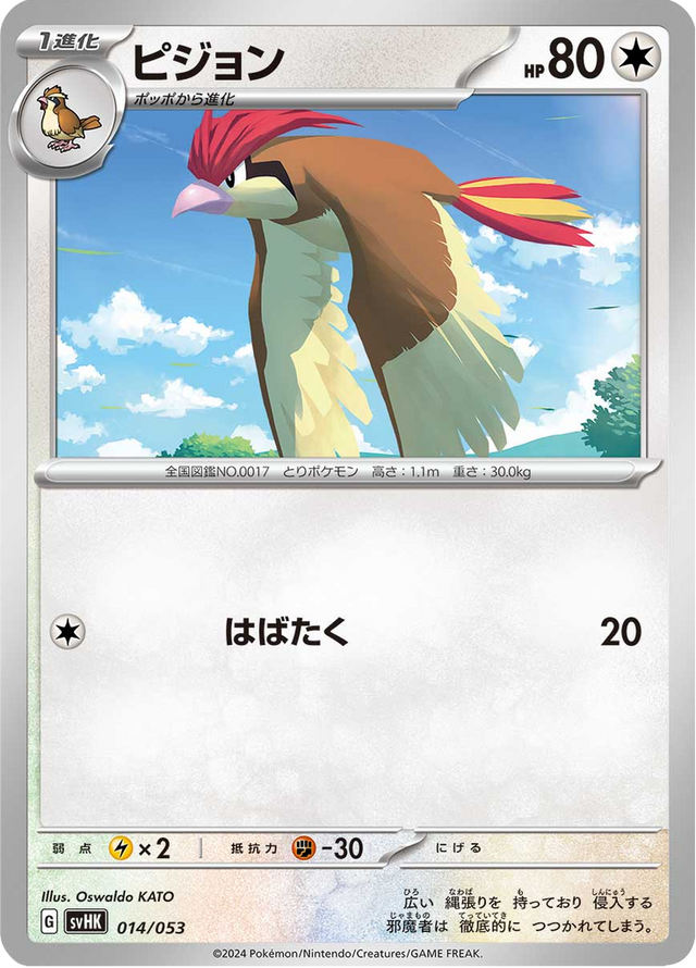 Pidgeotto 014/53
