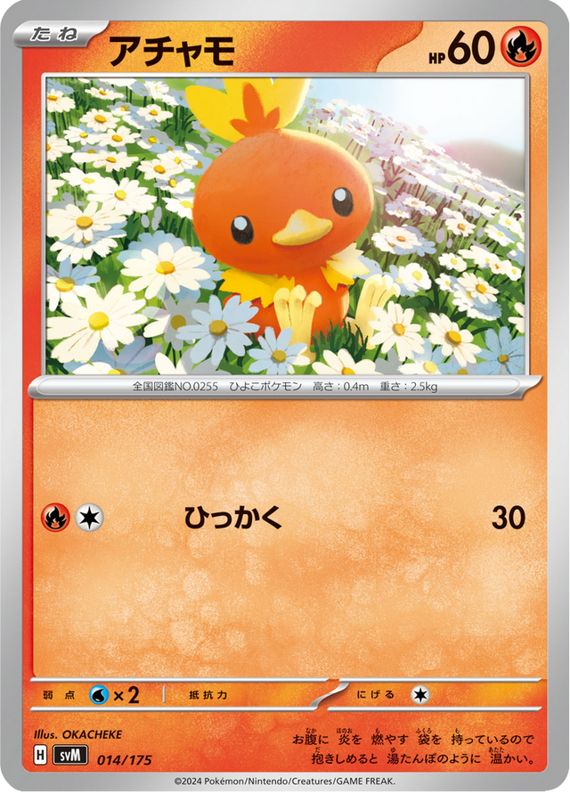 Torchic 014/175