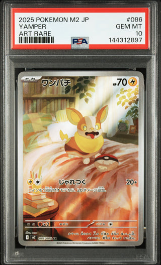 [PSA 10]{086/080} YAMPER | Japanese Pokemon Card PSA Grading