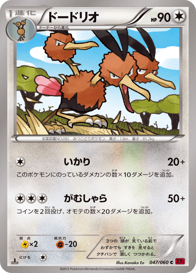 Dodrio 047/63