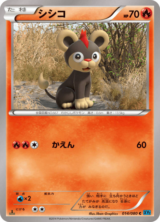 Litleo 014/80
